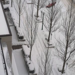 Meet your Posher, Alia